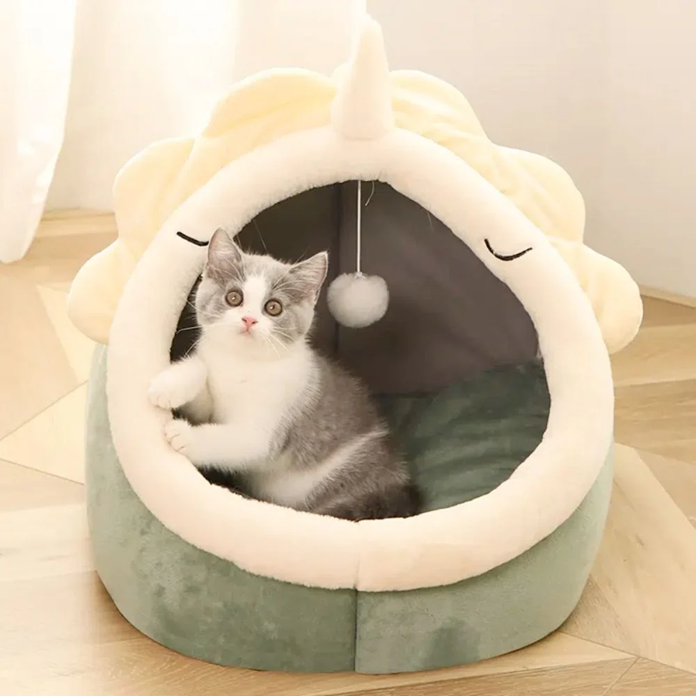 Elevate Your Pet's Everyday Life